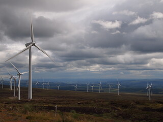 Wind Farm in Scotland