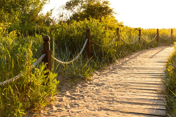 Ecological hiking trail in the national park through sand dunes, beach, sedge thickets and plants,...