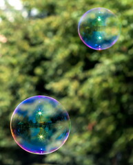 soap bubbles in the sun on a background of trees