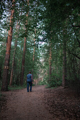 Fototapeta na wymiar A man walks through the coniferous forest