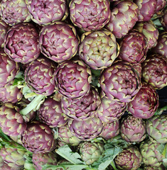 background of greens big green artichokes for sale in the vegeta