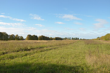 autumn field landscape.