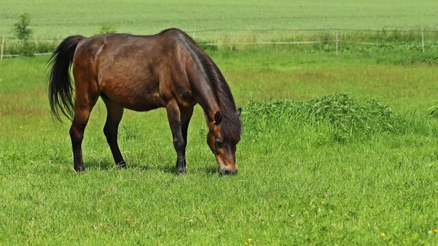Wallach 이미지 찾아보기 3,291 스톡 사진, 벡터 및 비디오 Adobe Stock