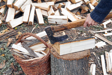 Woman cut woods with axe prepared for winter.