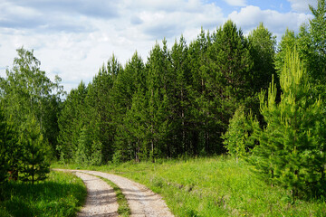 Fototapeta na wymiar The road through the forest. Beautiful summer nature landscape with green forest, road and blue sky with clouds.