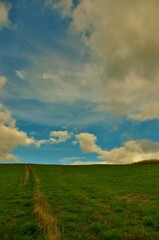 green field and cloudy sky