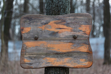 Old wooden sign on tree. Rough scuffed wooden surface. Copy space.