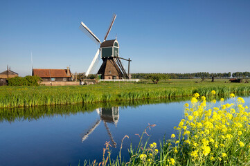 Naklejka premium The Wingerdse Molen