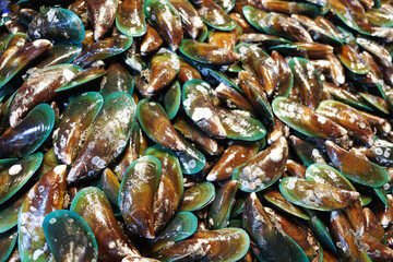 Mussel in the market Background