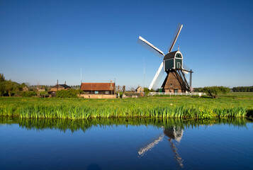Fototapeta premium The Wingerdse Molen