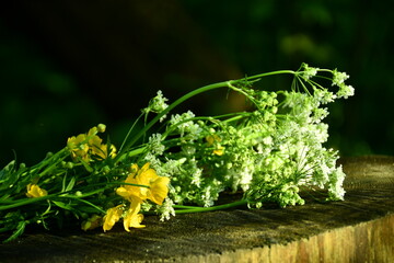 yellow flowers on the green background