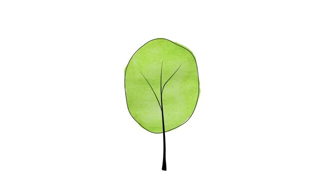 Footage animated cartoon hand drawn watercolor ink pen illustration of tree with green foliage in sketchy doodle style growing swaying in the wind. Environment nature protection sustainability