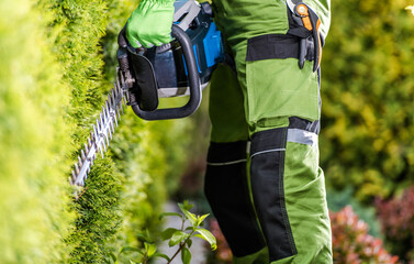 Professional Gardener with Hedge Trimmer Doing His Job in the Garden