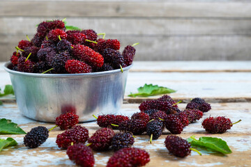 .Mulberry in a bowl on the table