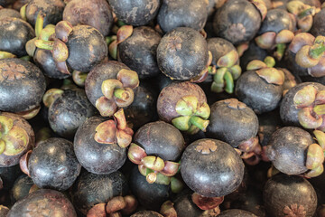 Mangosteen was available on the market