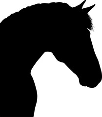 Drawing the black silhouette of a horse head on a white background - 359701826