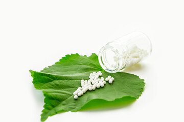 Homeopathic globules and glass bottle on a green plant leaf on white background. Concept of...