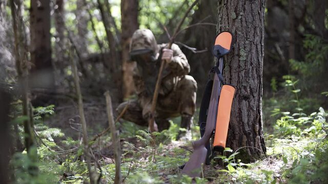 Dolly shot of hunter in camouflage cuts branch with axe in forest. Hunting rifle leaning against pine tree trunk. Hunter outdoor in forest hunting alone. Outdoor activity concept.
