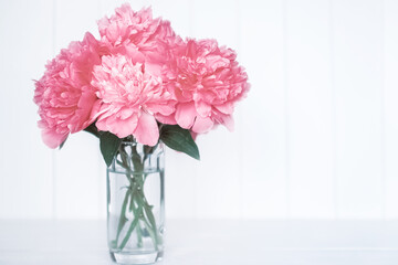 a bouquet of pink peonies on a white background in a vase close-up. flower background with peonies.