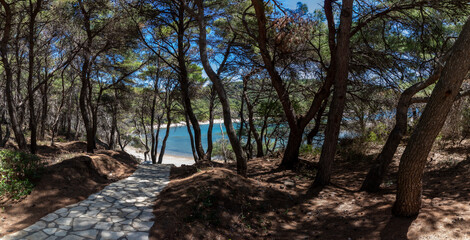 panoramic view forest on Limuni Beach on island Mljet, Croatia