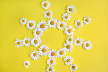 Chamomile flowers in the shape of the sun on a yellow background, top view. Closeup.