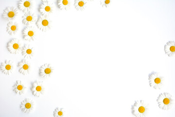 White background with chamomile flowers on the sides and central space for design. Top view