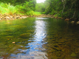 Le soleil se reflète dans la rivière tropicale