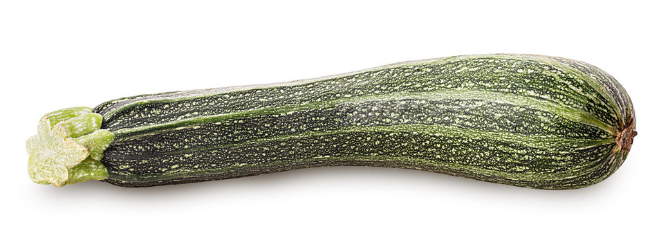 Fresh green zucchini
