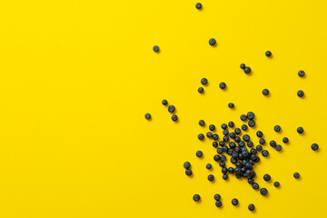 clean blueberry berries fruit isolated on the colorful surface, copy space, minimalist