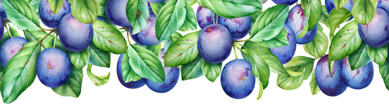 Seamless pattern with watercolor plum tree branches