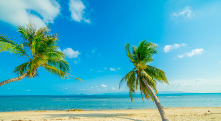 Fototapeta na wymiar Paradise Sunny beach with palms and turquoise sea. Summer vacation and tropical beach concept.
