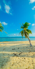 Paradise Sunny beach with palms and turquoise sea. Summer vacation and tropical beach concept.