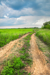 Obraz premium Landscape of a field with a road against a cloudy cloudy sky before a thunderstorm