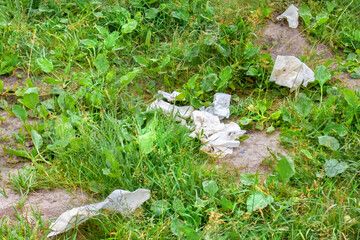 excrement of tourists covered by toilet paper and scattered along the hiking trail
