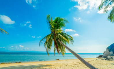 Paradise Sunny beach with palms and turquoise sea. Summer vacation and tropical beach concept.