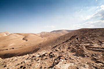 Shepherd in the Judean Desert