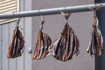 Trockenfisch © AnnaReinert