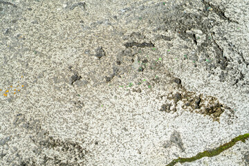 concrete old surface texture