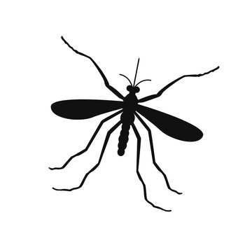 Mosquitoes sign vector icon illustration