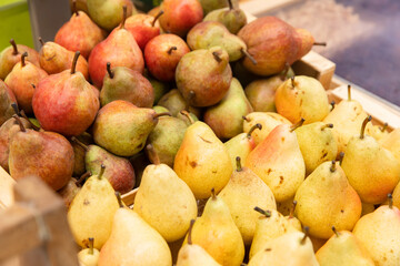 フランスの市場