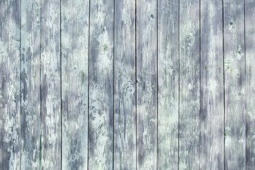 grey painted color blank Board panel wood wall texture, old vintage style grunge with cracked surface background for your text, decoration or advertising template, retro art.