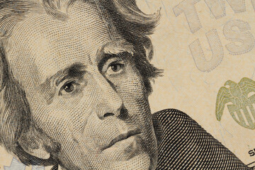 Close up of United States twenty-dollar bill