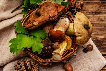 Fresh forest mushrooms. Assorted gourmet porcini and boletus, oak leaves