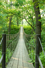 Suspension bridge of ropes and woods for a jungle adventure