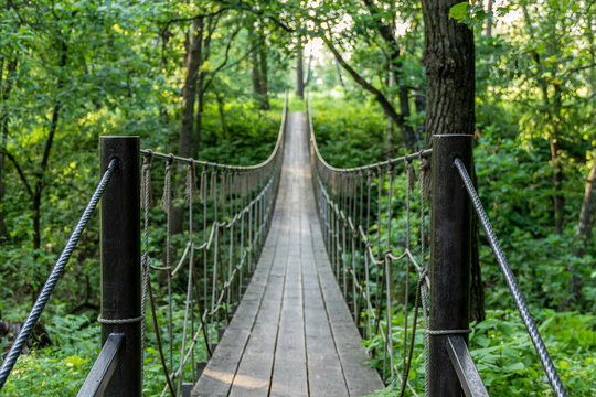 Hanging bridge deep in dark forest in the summer evening © bisa2bisa