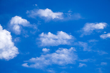 Naklejka na ściany i meble 青空に浮かぶ白い綿雲 積雲