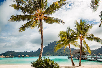 Fototapeta premium beautiful view upon tropical island
