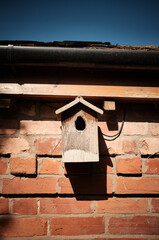 Bird box on a wall