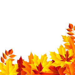 autumn leaves frame, isolated on white background. vector illustration. colorful fall red and yellow leaf Back to school border design elements