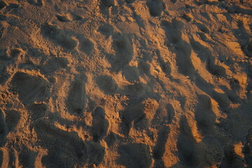 footprints in sand at sunset